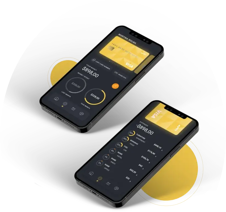 Immediate Pinnacle - The Development of Cryptocurrency